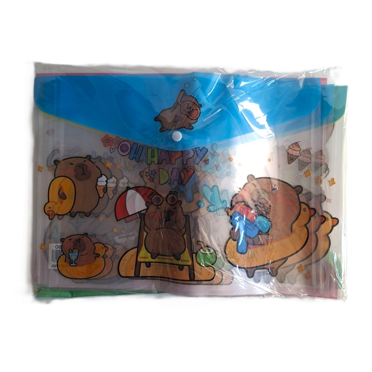 Carpetas para documentos